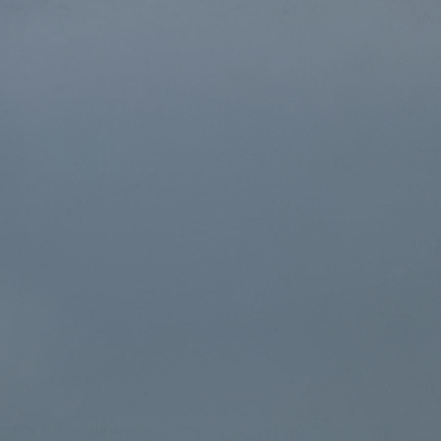 FRANKIE WOOD TWIN OVER TWIN BUNK BED BLUE AND NATURAL