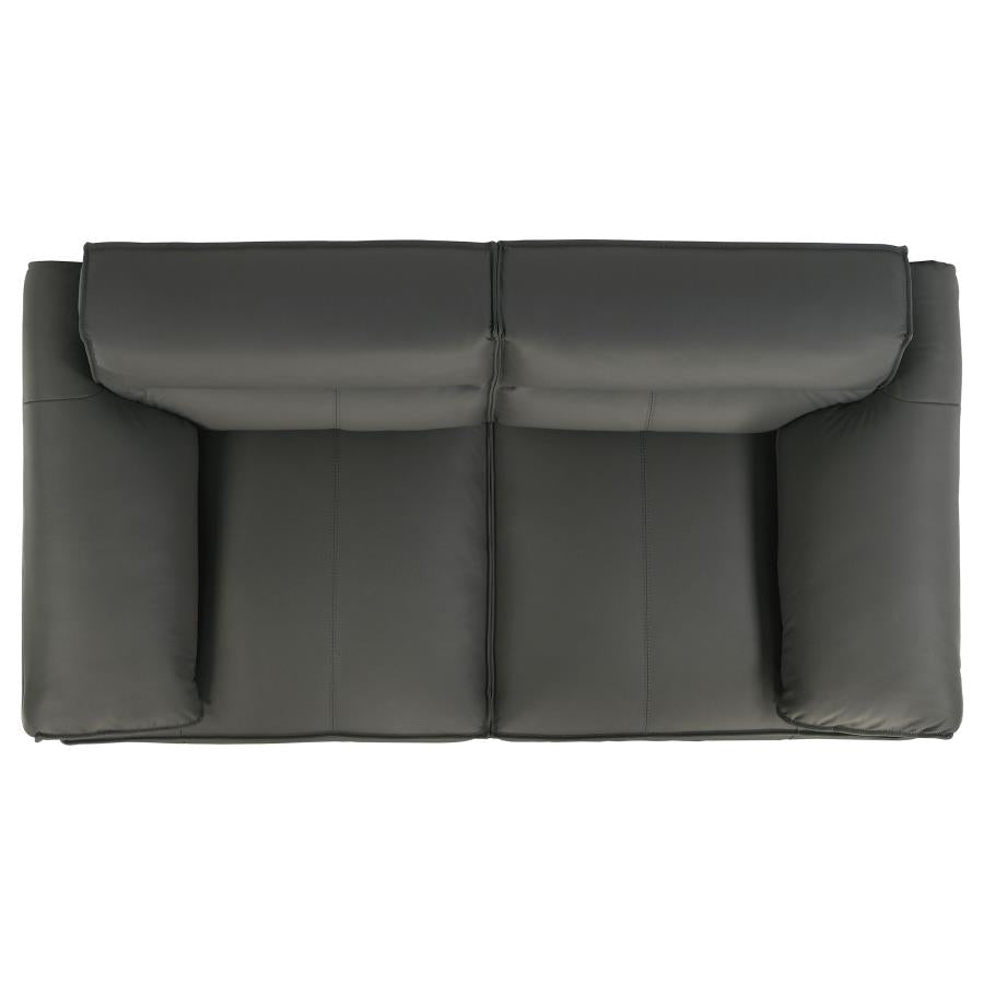 Buxton 2-piece Leather Upholstered Sofa Set Graphite