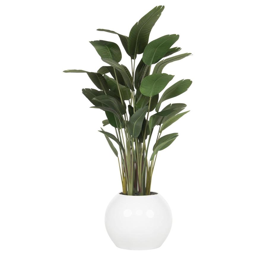 Zaya Planter