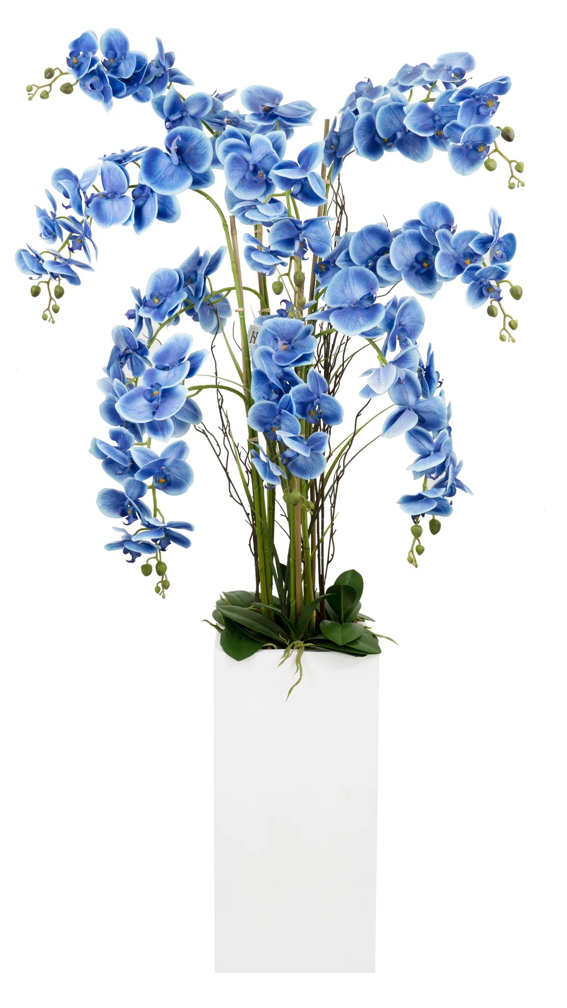Orchid Square Floor Vase Arrangement Decor