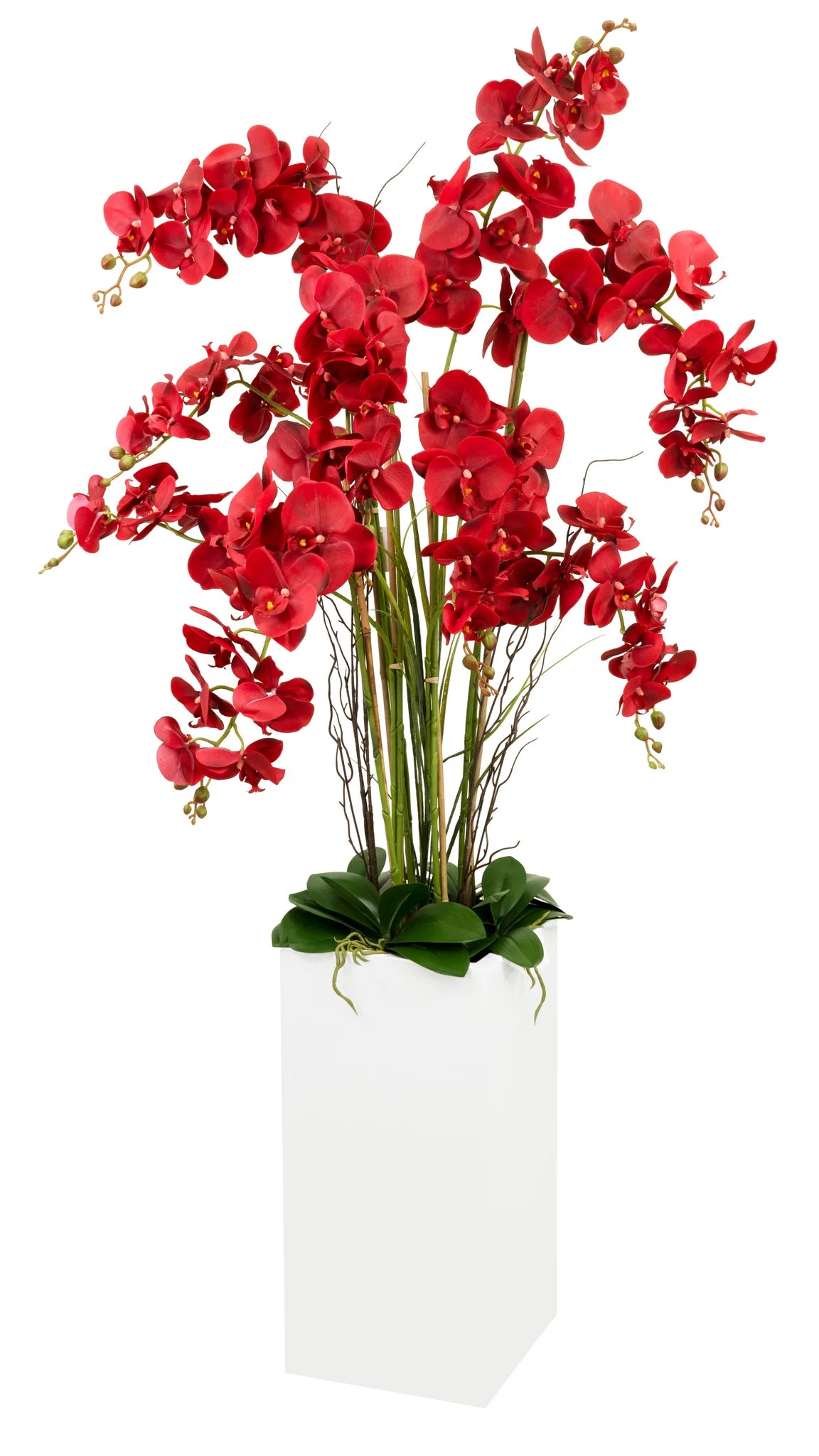 Orchid Square Floor Vase Arrangement Decor