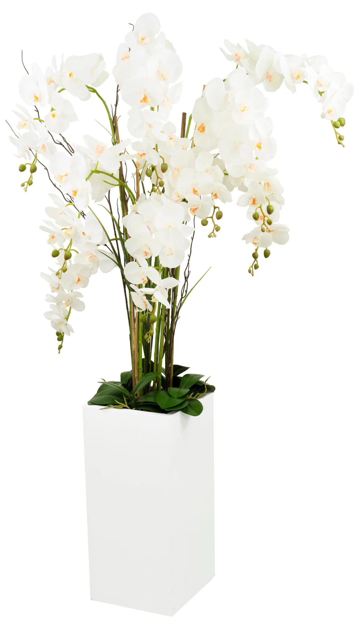 Orchid Square Floor Vase Arrangement Decor